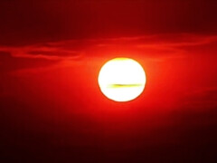 Grosser arsch, Braunhaarige, Tschechisch, Hardcore, Küssen, Lecken, Muschi, Tätowierung