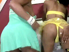 乱交, シーメール