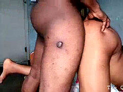 Doggie, pussyfucking, black-cock
