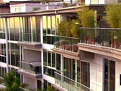 Gruppe, Behaart, Swingers