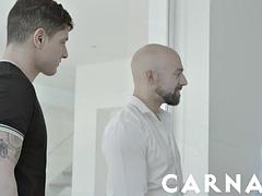 Arschlecken, Grosser schwanz, Blondine, Blasen, Braunhaarige, Würgen, Latina, Tätowierung