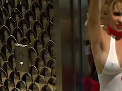 Tussi, Blasen, Gruppe, Realität, Swingers