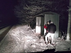 Любители, Минет, Измена, Рогоносцы, Секс без цензуры, На природе, Польки, Жена