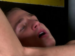 Homo