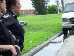 Black dude hunted by the police while driving